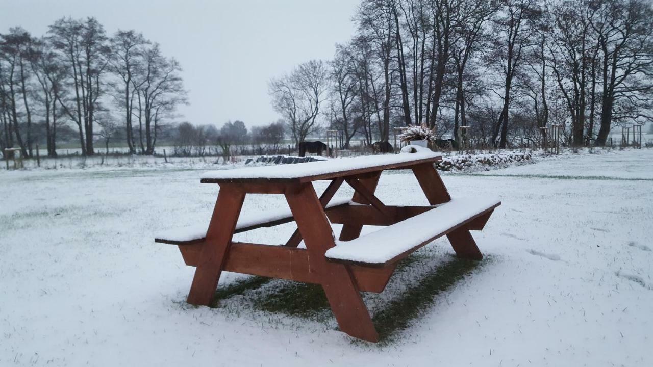 Emsdune Oberlangen Exteriér fotografie